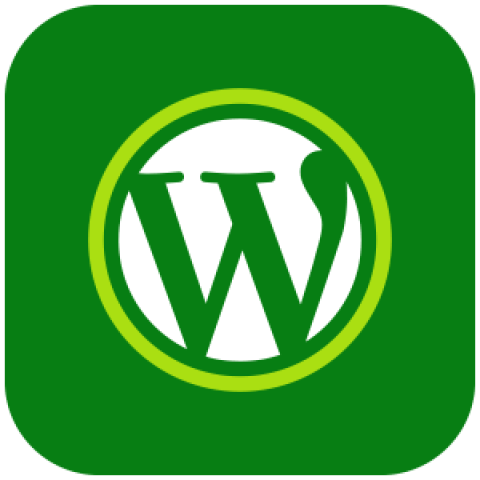 Plataformas-Wordpress